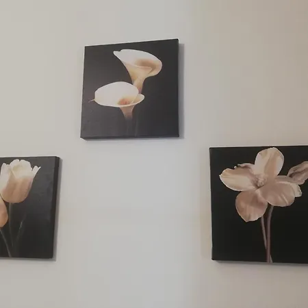 De Rossi بيت ضيافة باري