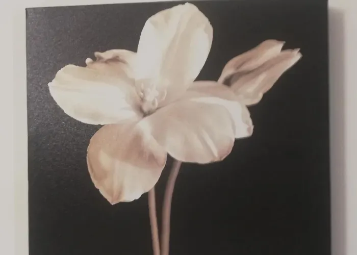 بيت ضيافة De Rossi